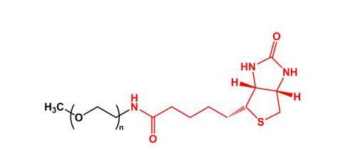 甲氧基聚乙二醇生物素 mPEG-Biotin(图1)