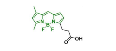 BDP FL acid，165599-63-3(图1)