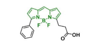 BDP R6G carboxylic acid，174881-57-3(图1)