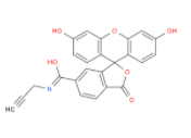 FAM alkyne,6-isomer(图1)