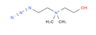 Azido-choline(图1)