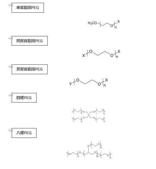 PEG衍生物分类及常见PEG修饰通式(图1)