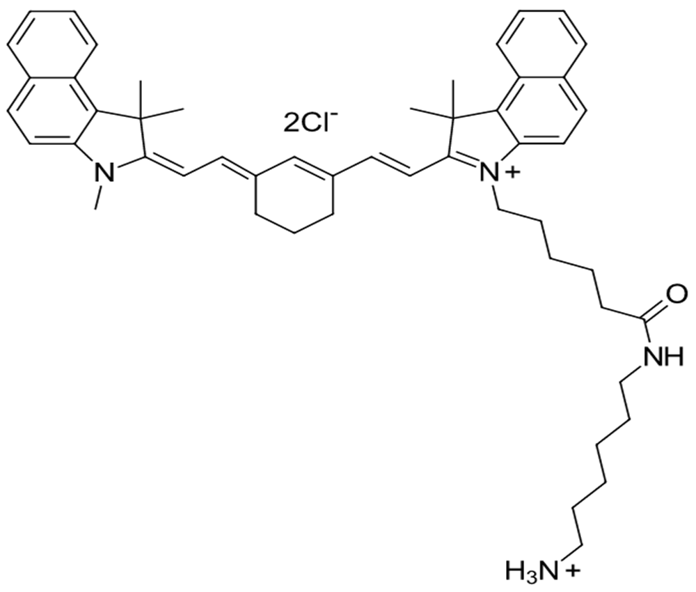 Cyanine7.5 amine 2104005-16-3 花青素Cy7.5-NH2