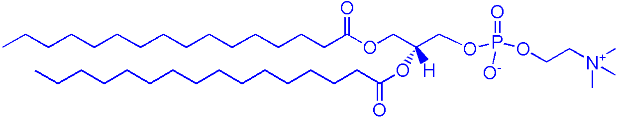 63-89-8，DPPC（1,2-二棕榈酰-sn-甘油-3-磷酰胆碱）