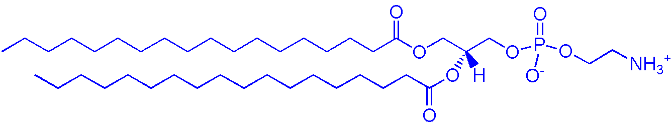 1069-79-0，DSPE（1,2-二硬脂酰基-sn-丙三基-3-磷脂酰乙醇胺）(图1)