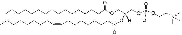 1-棕榈酰基-2-油酰基卵磷脂POPC