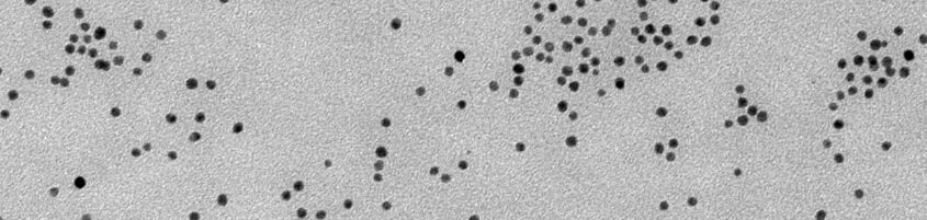 葡萄糖修饰金纳米粒子（5nm）(图1)