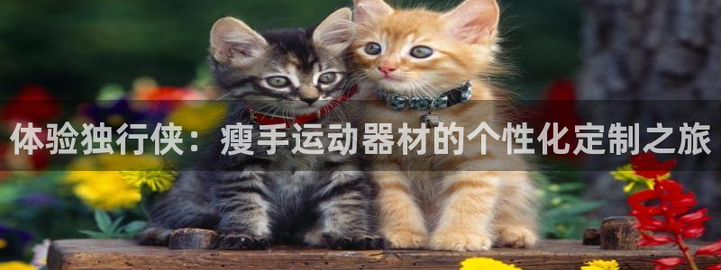 征途国际招商:体验独行侠:瘦手运动器材的个性化定制之旅