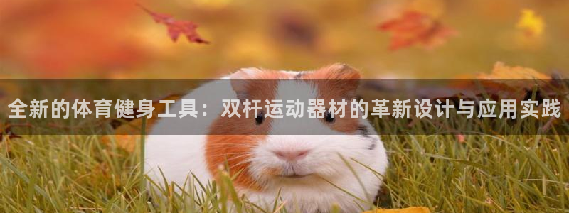 征途国际招商电话是多少号码:全新的体育健身工具:双杆运动器材