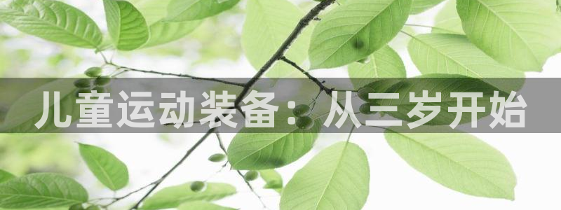 征途国际五金厂:儿童运动装备:从三岁开始